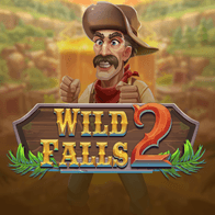 Wild Falls 2 game screenshot